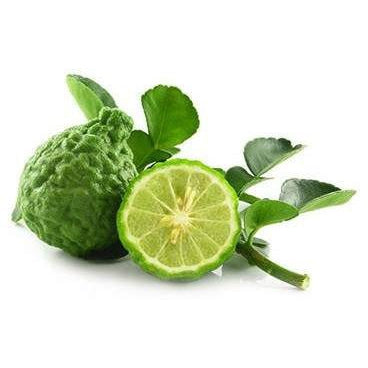 Pipe dream Gourmet E-Tonics:Bergamot