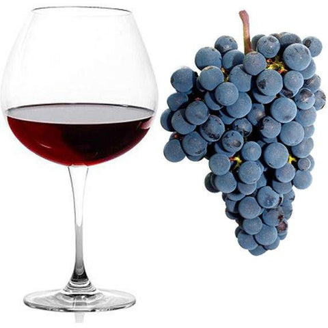 Pipe dream Gourmet E-Tonics:Merlot Wine