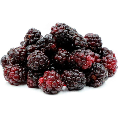 Pipe dream Gourmet E-Tonics:Boysenberry