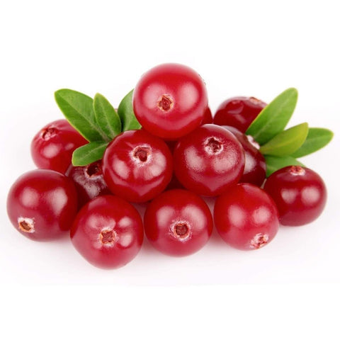 Pipe dream Gourmet E-Tonics:Cranberry