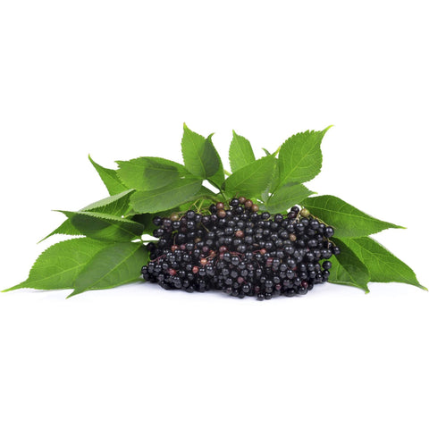 Pipe dream Gourmet E-Tonics:Elderberry