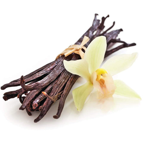 Pipe dream Gourmet E-Tonics:French Vanilla