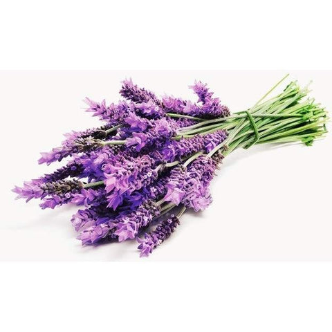 Pipe dream Gourmet E-Tonics:Lavender